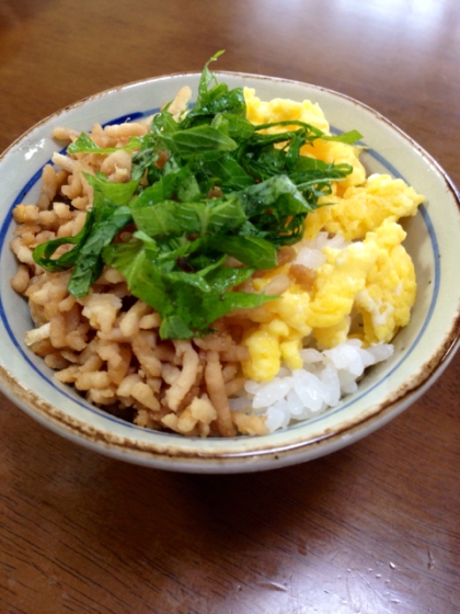 夏のミニ三色丼！