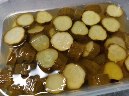 ハンバーガーに入れたくなる♪きゅうりのピクルス