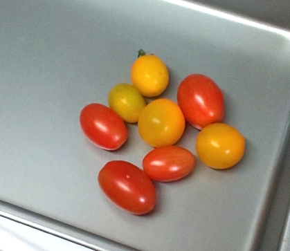 私も保存レシピで☺️収穫したミニトマト、そのままだったので保存しますね✨長持ち嬉しいです☘️長雨で、トマト割れませんように⤴️いつも素敵レシピ感謝(*^ーﾟ)