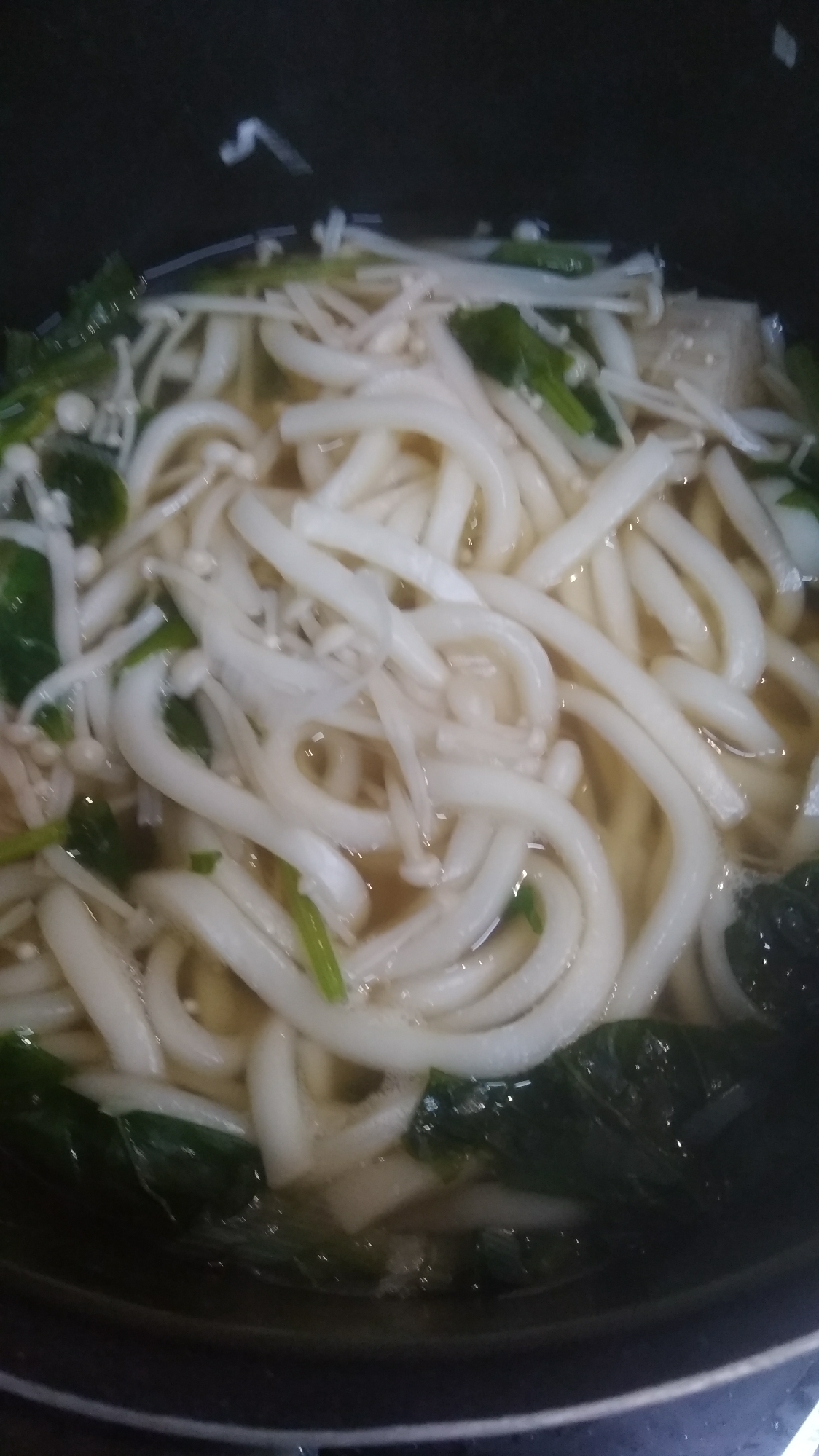 ほうれん草ネギうどん