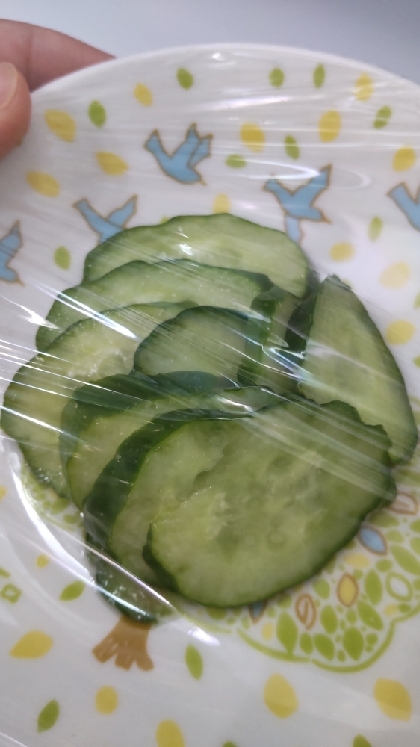 昆布だしのきゅうりの浅漬け