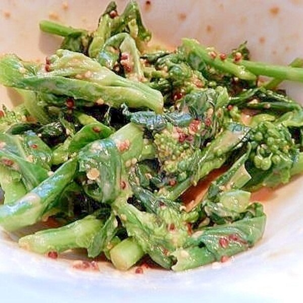 菜の花の粒マスタード醤油マヨ和え レシピ 作り方 By お野菜のフィトセラピー ハッピーホリスティック料理 楽天レシピ 菜の花の粒マスタード醤油マヨ和え レシピ 作り方 By お野菜のフィトセラピー ハッピーホリスティック料理 楽天レシピ