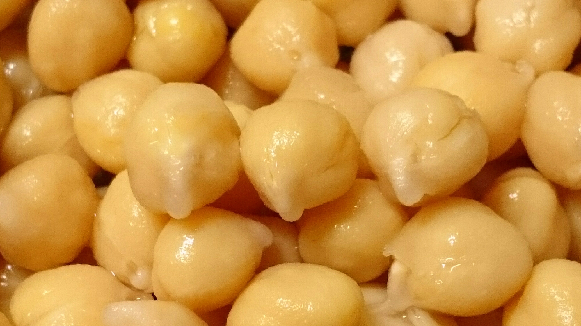 ストウブDe〜ガルバンゾー(ひよこ豆)の茹で方