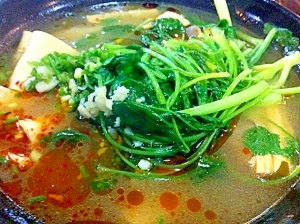 空芯菜と中国湯葉のピリ辛スープ