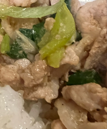 ニンニク香る、ネギ塩豚丼