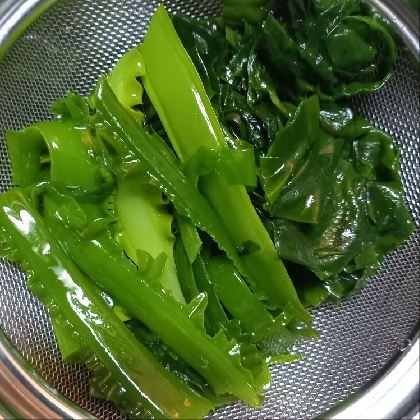 生わかめ　下処理方法