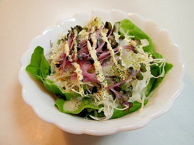 サラダ菜 キャベツ レッドキャベツスプラウトサラダ レシピ 作り方 By ぷ みぃまま 楽天レシピ サラダ菜 キャベツ レッドキャベツスプラウトサラダ レシピ 作り方 By ぷ みぃまま 楽天レシピ