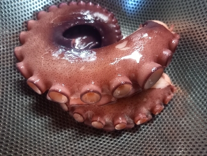 生タコの下処理 レシピ 作り方 By Conori 楽天レシピ 生タコの下処理 レシピ 作り方 By Conori 楽天レシピ