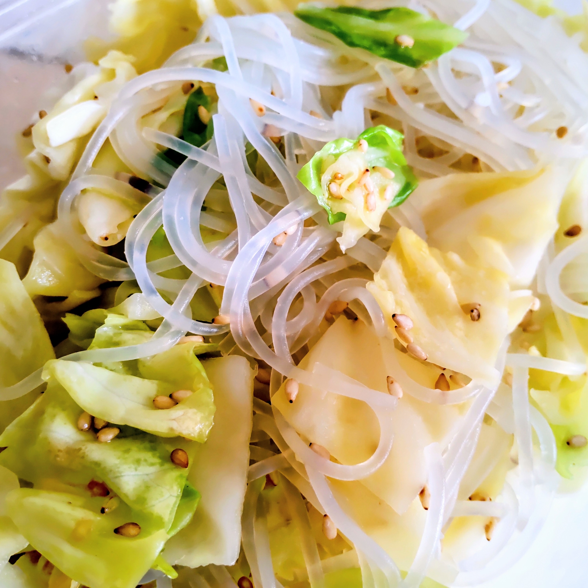 【副菜】キャベツと春雨の塩ダレ和え【簡単】