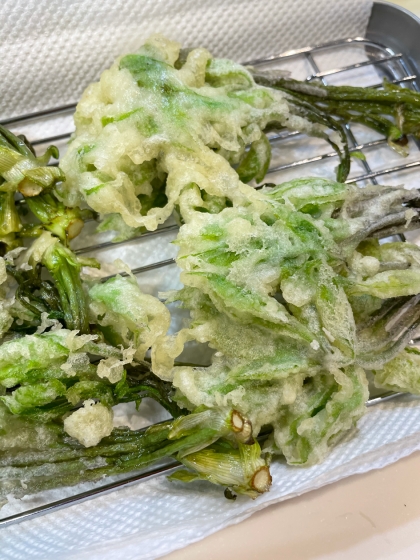 コシアブラ（山菜）天麩羅