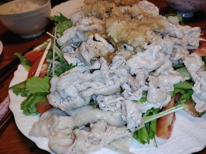 ゆで方がポイント!柔らか豚しゃぶサラダ