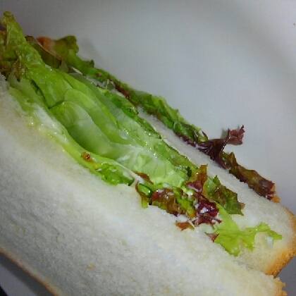 しゃきしゃき！たっぷりレタスのサンドイッチ