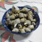 磯つぶの簡単煮 レシピ 作り方 By 2727椿 楽天レシピ 磯つぶの簡単煮 レシピ 作り方 By 2727椿 楽天レシピ