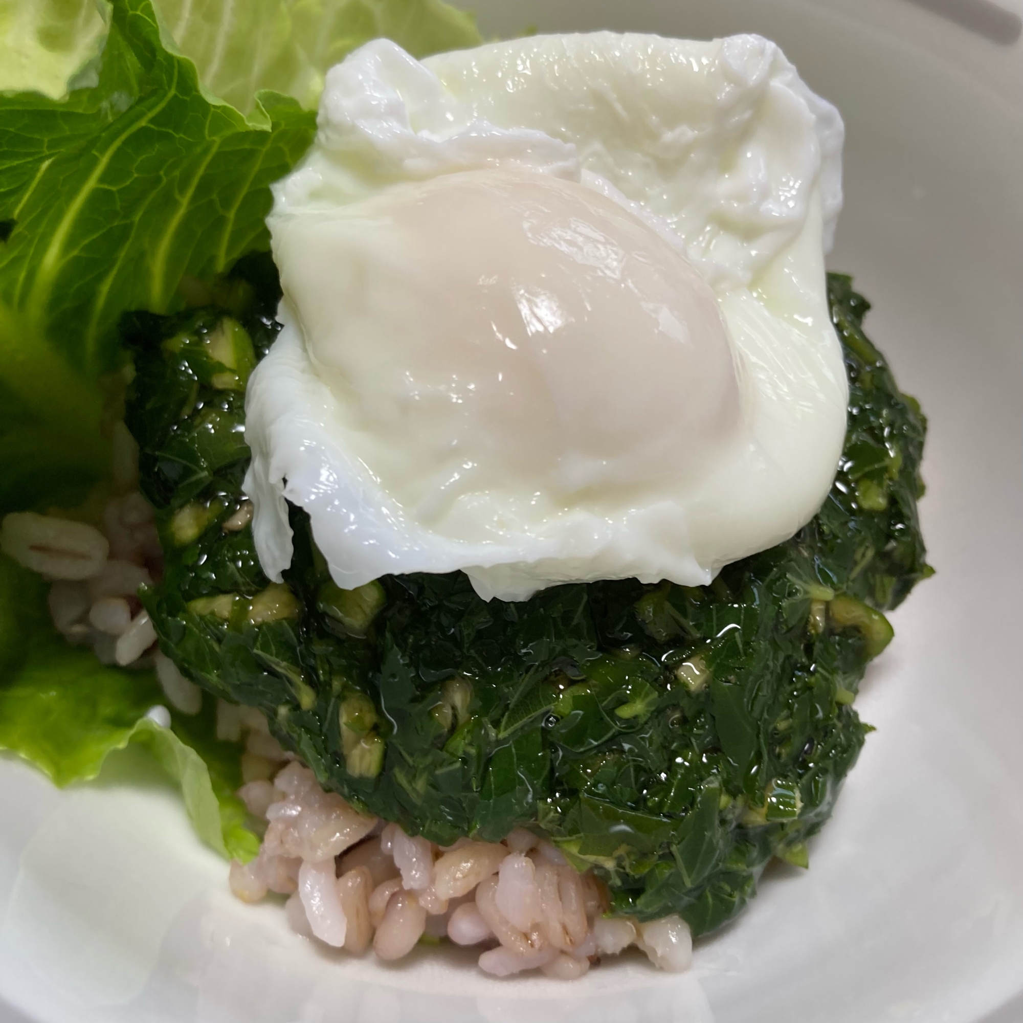 家庭菜園の《モロヘイヤとオクラのネバネバ丼》