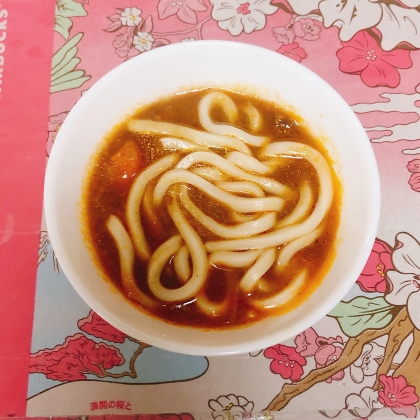 ハヤシうどん
