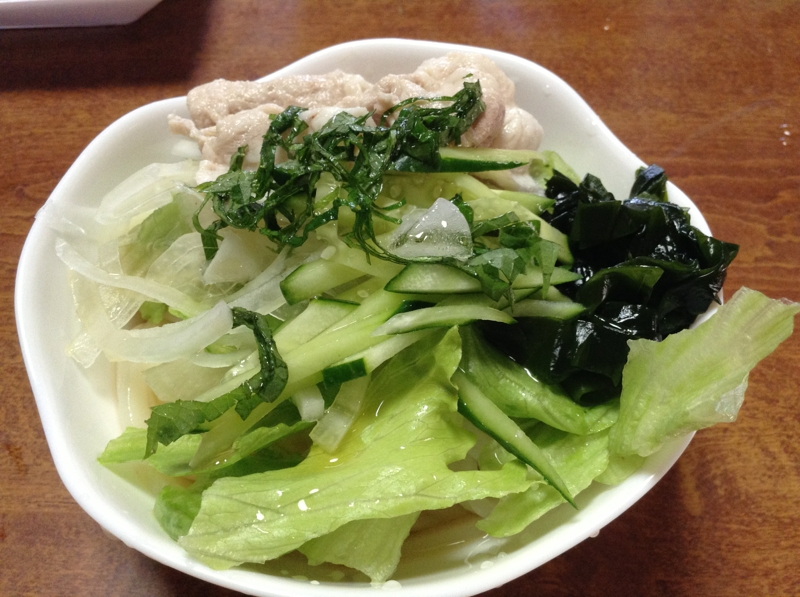 あっさり☆野菜乗せうどん