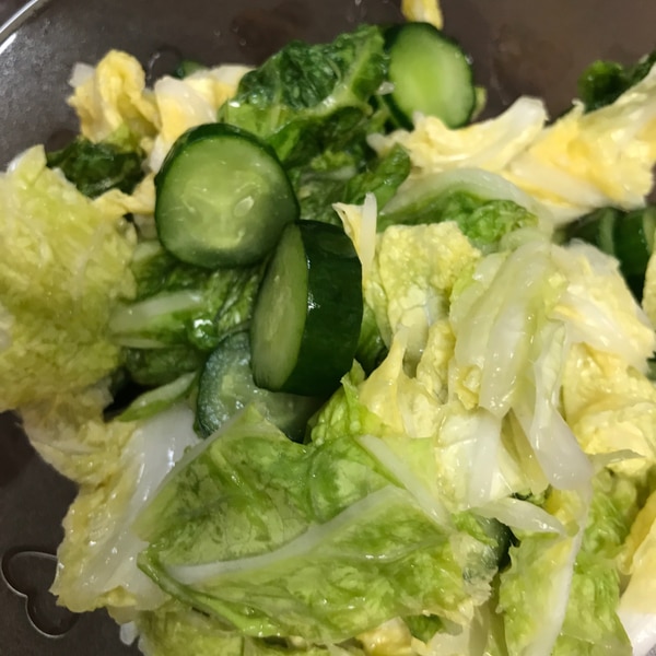 かんたん酢で白菜きゅうり漬け レシピ 作り方 By ドーナツ 楽天レシピ かんたん酢で白菜きゅうり漬け レシピ 作り方 By ドーナツ 楽天レシピ