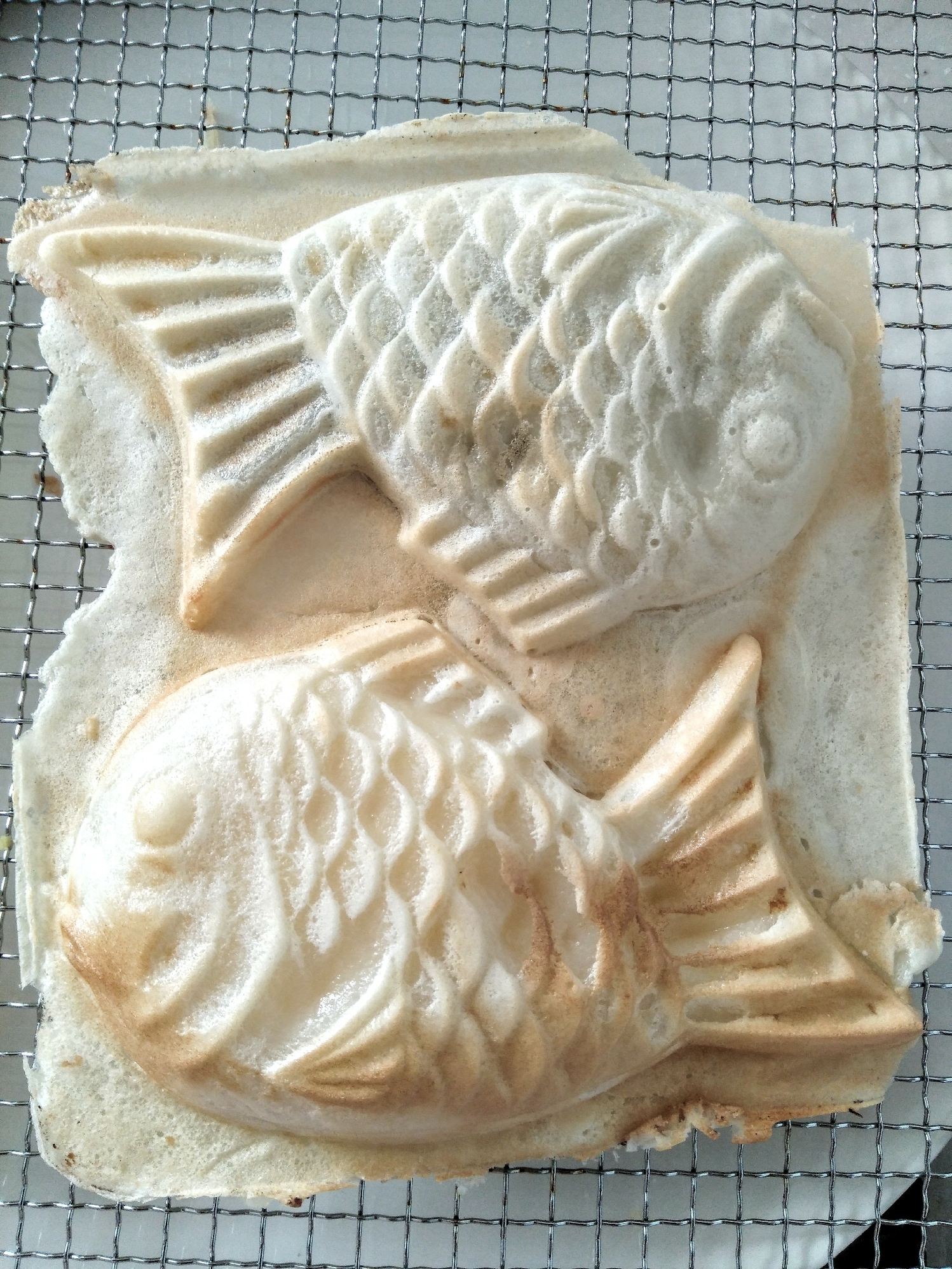 白いたい焼き レシピ 作り方 By Asa 楽天レシピ 白いたい焼き レシピ 作り方 By Asa 楽天レシピ