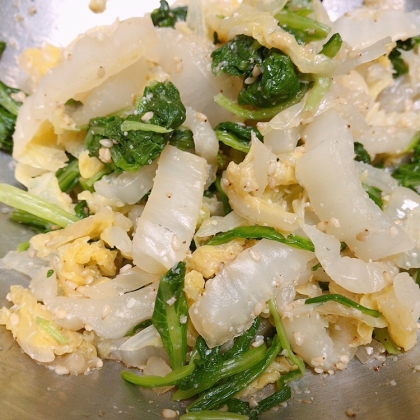 白菜と小松菜のナムル