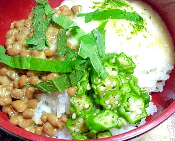 夏バテ予防にネバネバ丼