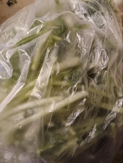 水菜の冷凍保存