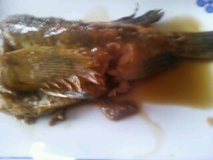 そいの煮付け レシピ 作り方 By 苺 楽天レシピ そいの煮付け レシピ 作り方 By 苺 楽天レシピ