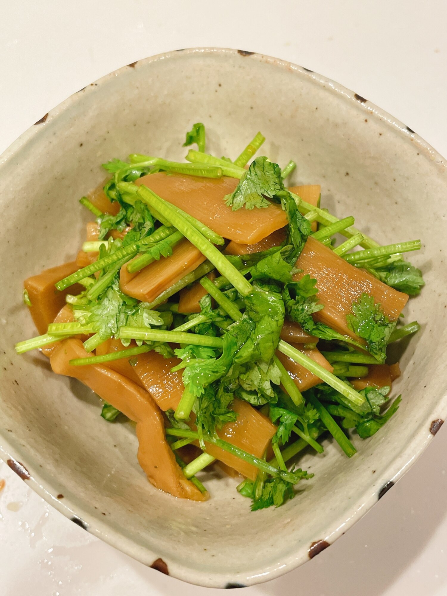 パクチーページ e40890c241fe3644ff4bf538f76f2a