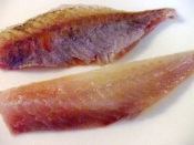 黒そいの刺身 レシピ 作り方 By 寝虎太郎 楽天レシピ 黒そいの刺身 レシピ 作り方 By 寝虎太郎 楽天レシピ