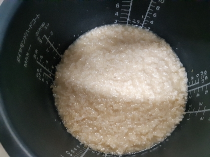炊飯器で甘酒　もち米使用版