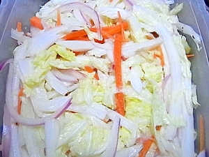 白菜とニンジンのシャキシャキ中華サラダ
