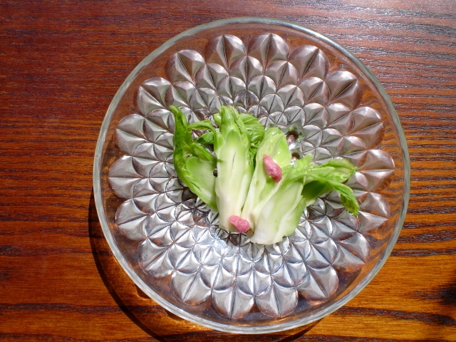 春の味覚　博多蕾菜と桜のお漬物