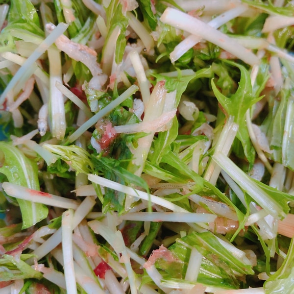 めんつゆで簡単 水菜としらすのかつお節サラダ レシピ 作り方 By Rittanmama 楽天レシピ めんつゆで簡単 水菜としらすのかつお節サラダ レシピ 作り方 By Rittanmama 楽天レシピ