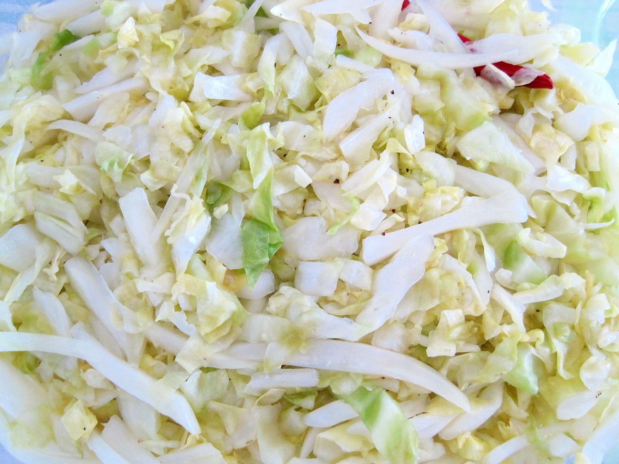 新キャベツのザワークラフト レシピ 作り方 By Yukkiy8 楽天レシピ