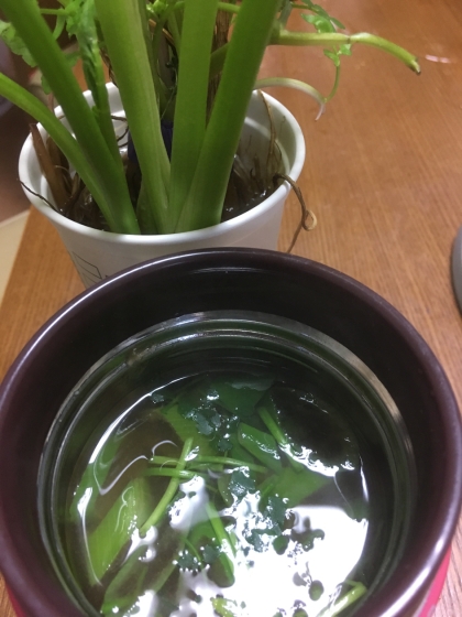 再生野菜で★せりたっぷりお味噌汁