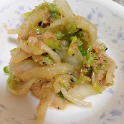 白菜のツナマヨサラダ