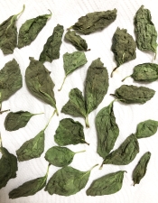 ミルなしで簡単 自家製ドライバジル作り方 保存方法 レシピ 作り方 By M H 楽天レシピ