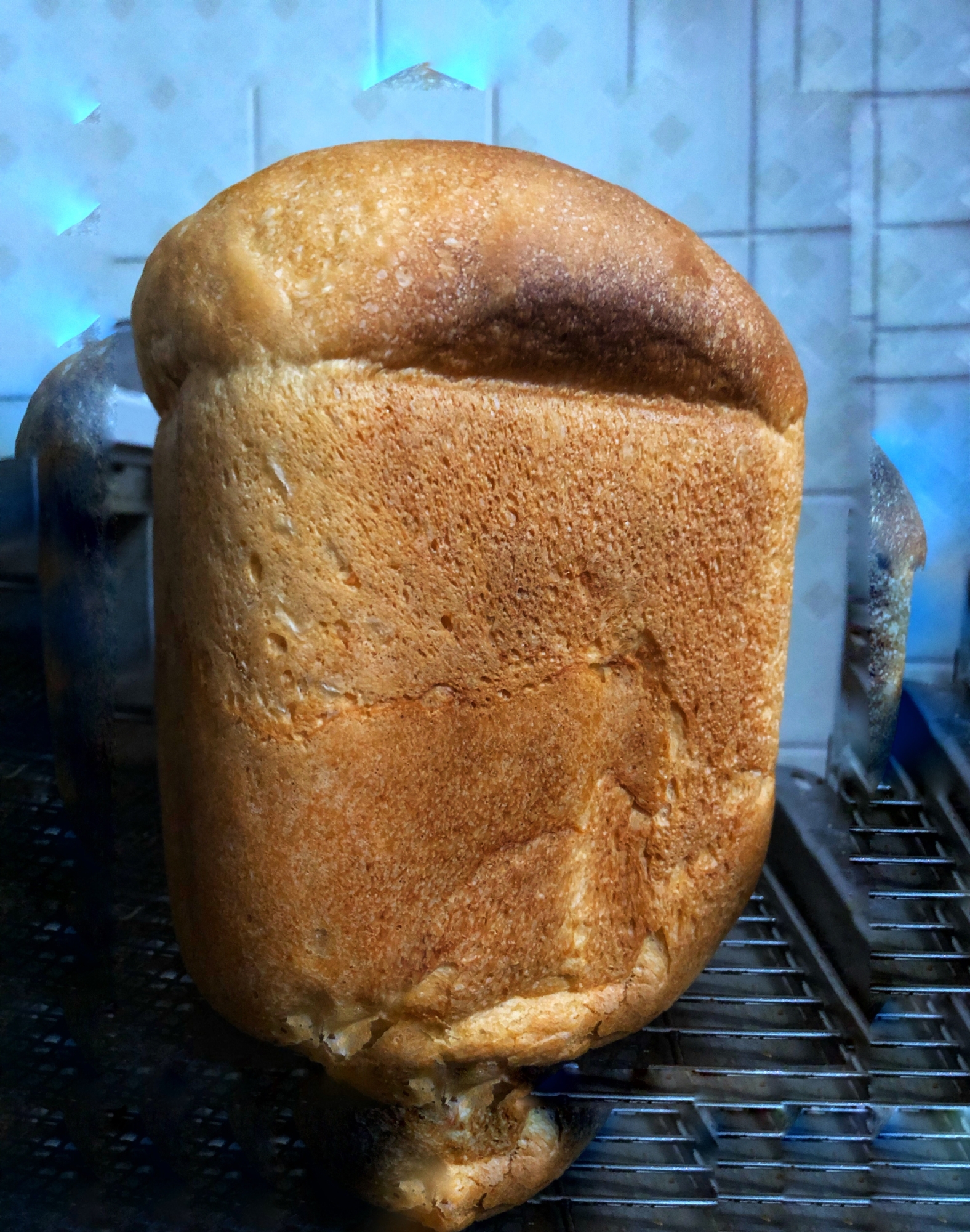 コストコ強力粉でファイバー入り栄養食パン