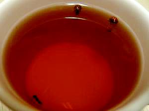 酒精強化 ハニーホットラム レシピ 作り方 By まるっとまる 楽天レシピ