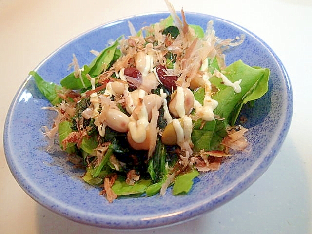 サラダ菜とほうれん草とサラダ豆の和風サラダ