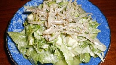 カリーノケールとレタスの雑魚サラダ