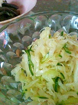 夏のやみつきキャベツ‼