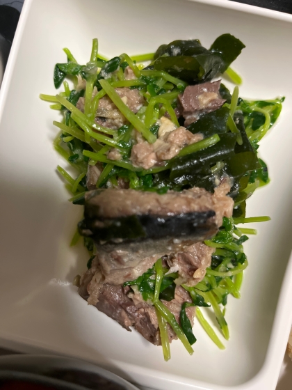 子供が喜ぶ(^^)サバ水煮缶と豆苗の味噌サラダ♪