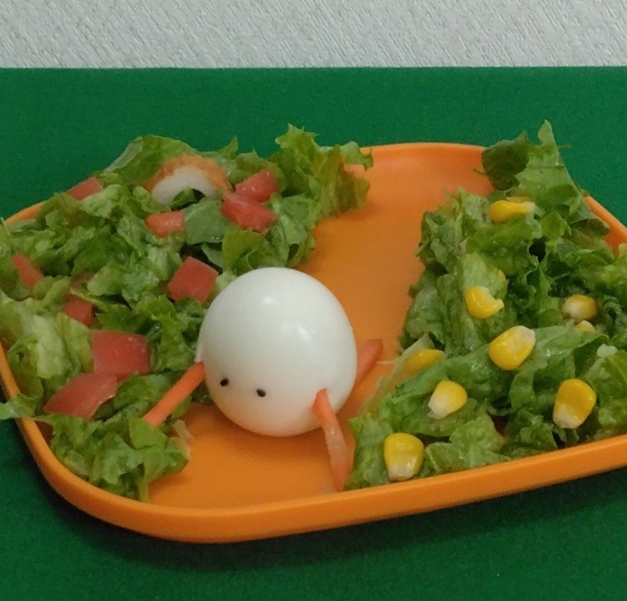 【サラダ畑で落とし物⭕】カラフル野菜×卵