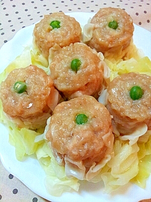 キャベツ 敷く シュウマイ