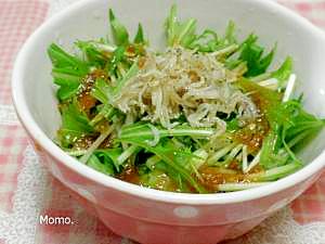 水菜としらす干しのサラダ レシピ 作り方 By Momo 楽天レシピ 水菜としらす干しのサラダ レシピ 作り方 By Momo 楽天レシピ