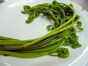 わらびのあく抜き 保存の方法 レシピ 作り方 By 手作り大好き さくら 楽天レシピ わらびのあく抜き 保存の方法 レシピ 作り方 By 手作り大好き さくら 楽天レシピ