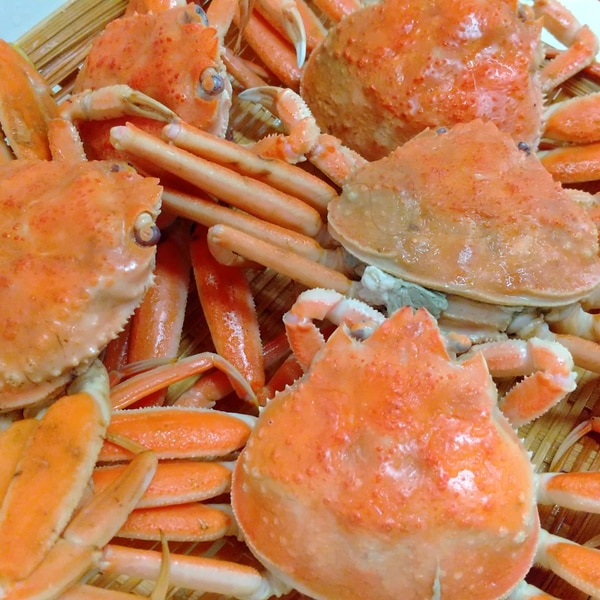 セコガニの蒸し方 レシピ 作り方 By まつごろう 楽天レシピ セコガニの蒸し方 レシピ 作り方 By まつごろう 楽天レシピ