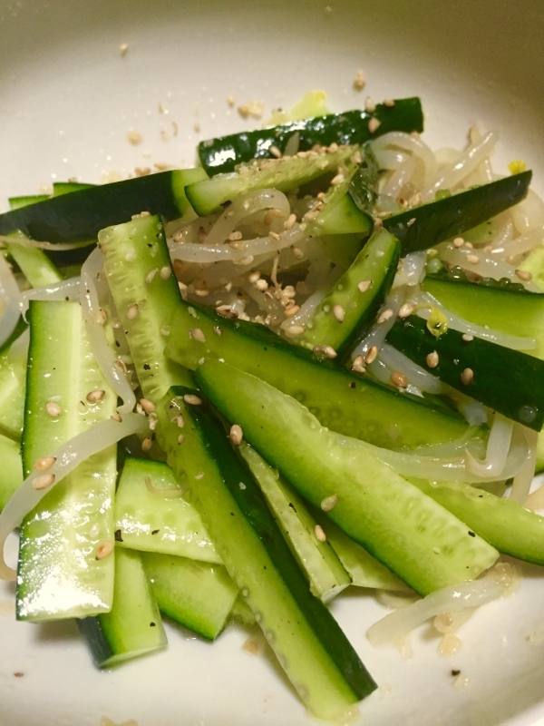 塩だれで簡単！きゅうりともやしの中華冷菜