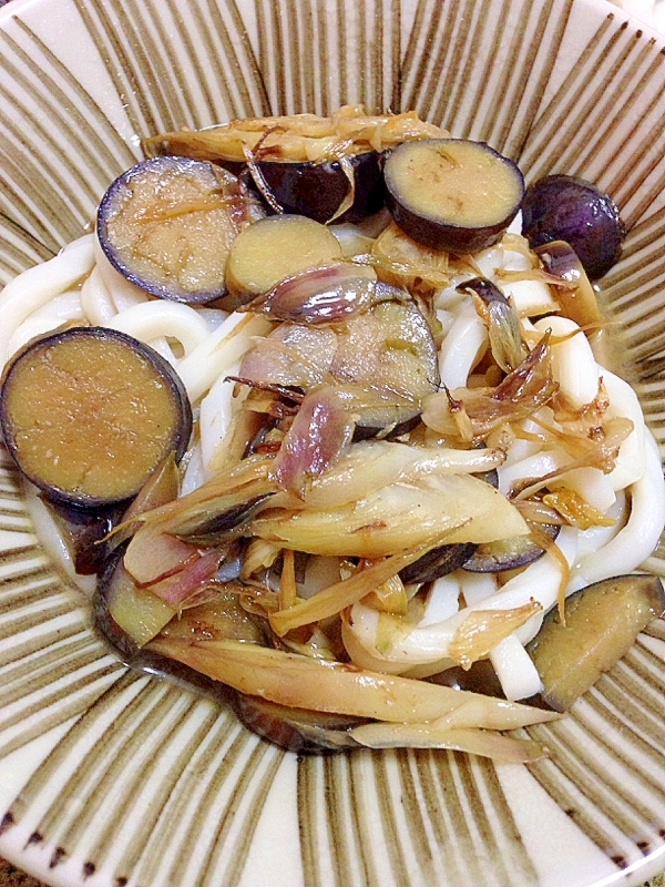 ほっこり美味しい！ミョウガとナスの味噌風味うどん