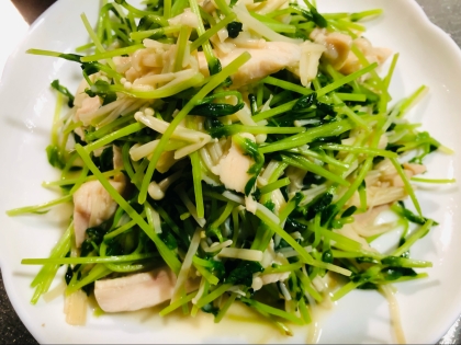 栄養たっぷり！豆苗炒め